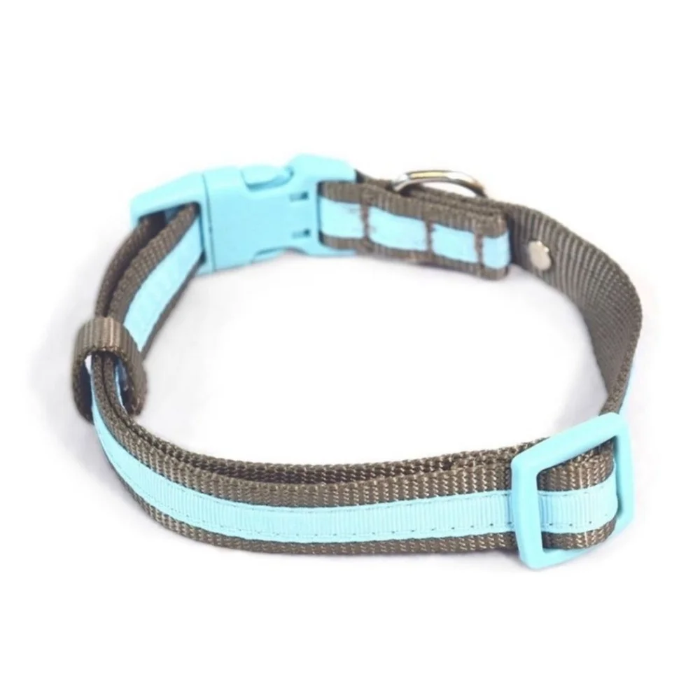 Martha Stewart | Dog Collar Size 16 Gray and Blue